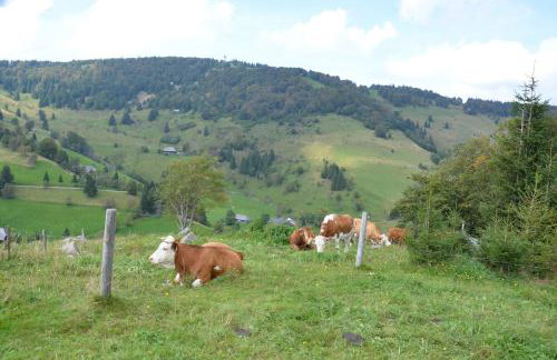 Sport Rees - Ferienwohnung Pia - Photo 4