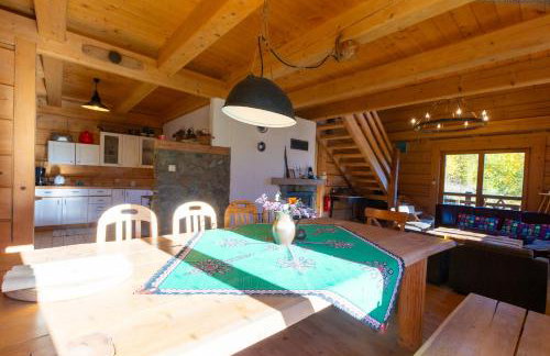 Chata na Kowalówkach - domek w górach - blisko szlaków i wyciągu - Foto 40