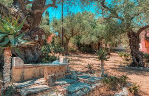 el paradiso - Foto 17