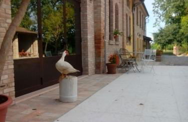 Corte Pioppazza - Foto 43