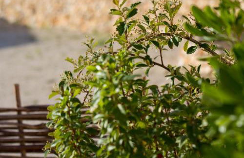 À mont nos hôtes 2 - Foto 26