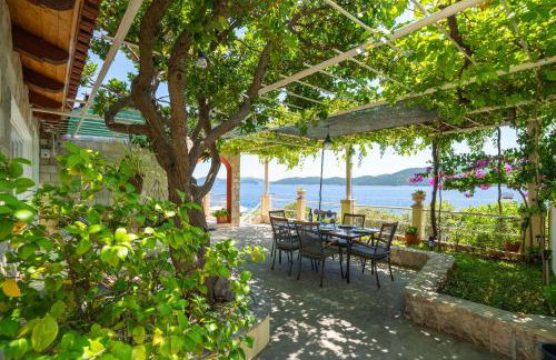 Villa Planika - Photo 46