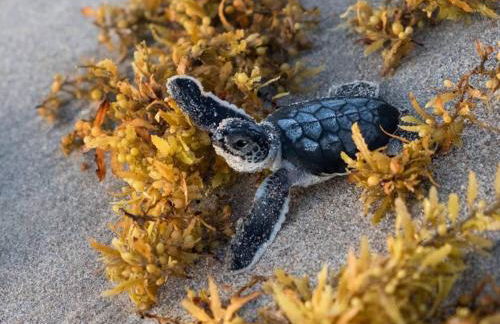 Gardens Getaway - A Family Retreat - Foto 56