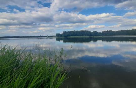 Domek Nad Stawem Bory Tucholskie - Foto 31