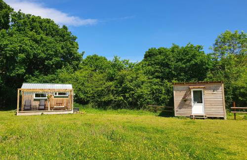 Dartmoor Reach Alpaca Farm - Foto 42