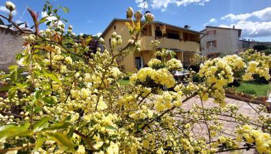 Home Nature and Relax - Foto 5