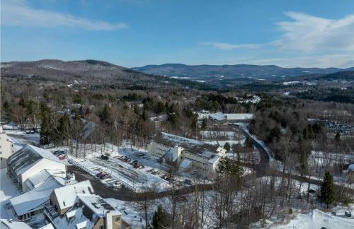 208 Village Gate condo - Foto 31