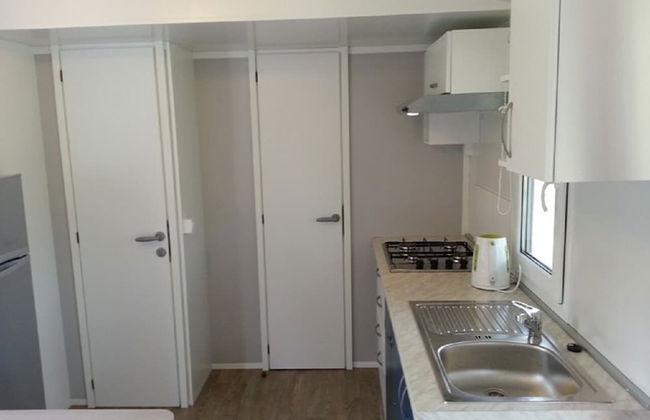 Iva - Great Garden - H - Photo 4