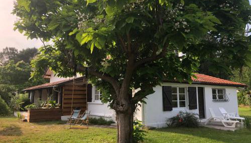 Villa Orcas - Photo 4