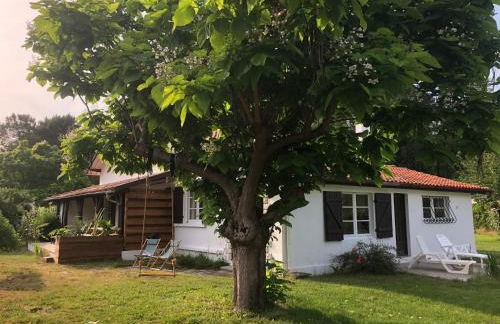 Villa Orcas - Foto 4