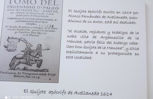 VIVIENDA VACACIONAL EL MOLINO ARGAMASILLA DE ALBA - Photo 47