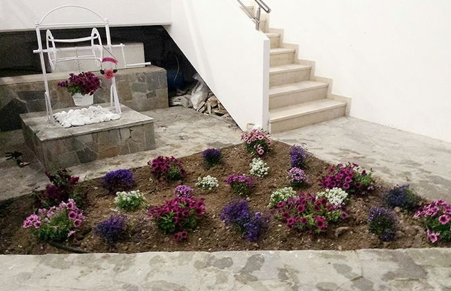 Crown Apartments - Foto 25