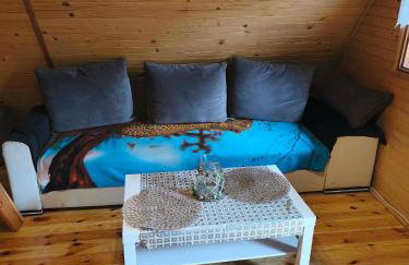 Zofiówka las - Foto 9