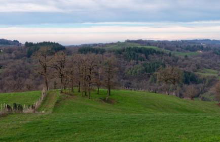 Gite de la source du Touron - Foto 14