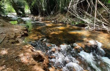 Chalé Filhos da Terra - Foto 15
