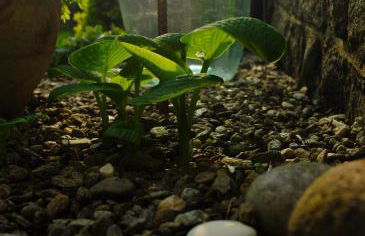 La Vista - Apartment mit Traumblick & Garten - Foto 40