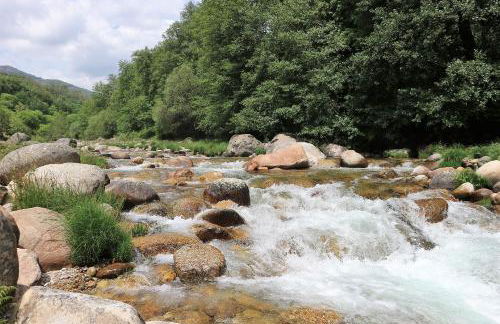 La Garzona - Foto 54