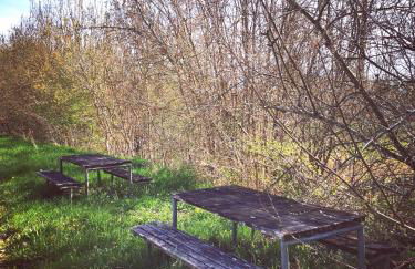 L'Aarona du Lidon - Foto 11