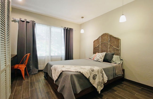 Relaxing Sound of River Birds Squirrels - Foto 5