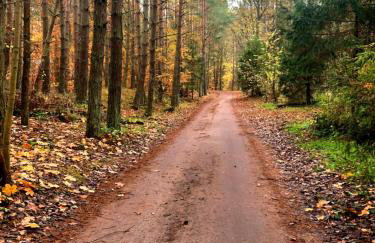 Apartament Kalimera - Foto 66