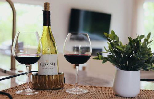 Heated Hydro Pool -Spa - Plunge - Luxe AVL Retreat - Foto 20