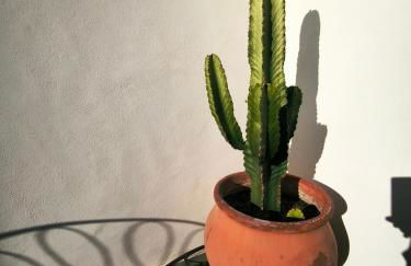 Atico con piscina, golf, vistas al mar - Photo 62