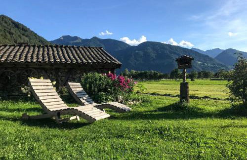 Rieplhof - Relaxing farm stay with breakfast and mountain view - Photo 15