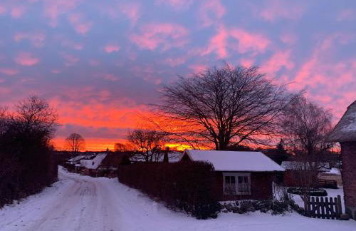 Ferienhaus Alte Stellmacherei - Foto 22