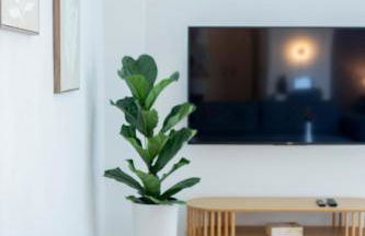 PuraStays - studio 2 - Foto 1