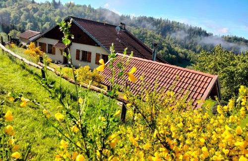 Gite le grenier du roc - Foto 17