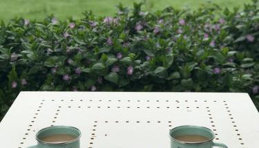 The Potting Shed - Foto 3