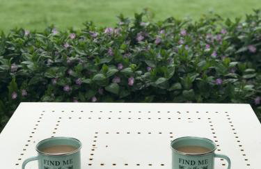 The Potting Shed - Foto 3