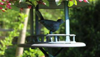 Agroturystyka Rębowo - Foto 5