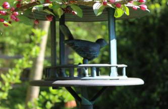 Agroturystyka Rębowo - Foto 5