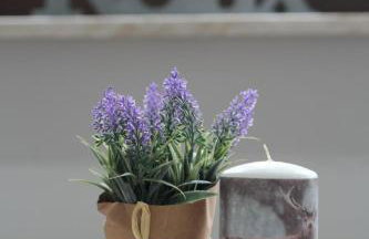 Apartment in Bedburg-Hau by Interhome - Foto 7