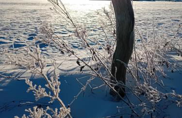 Casa Lobi - Die Ferienwohnung mit Ausblick! - Foto 19
