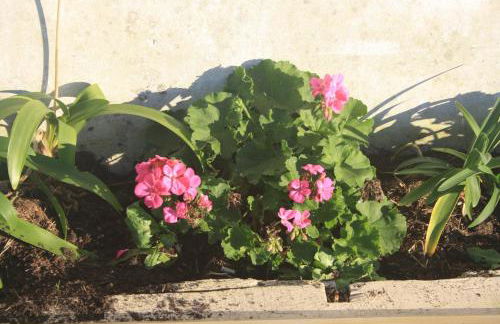 Casa Terán - Foto 20