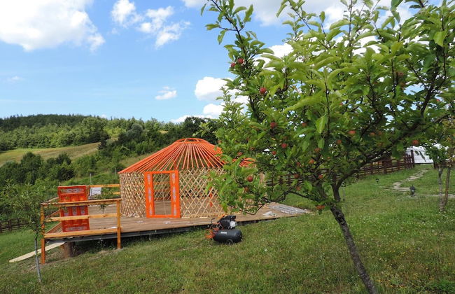 Società Agricola Cacigolara - Foto 38
