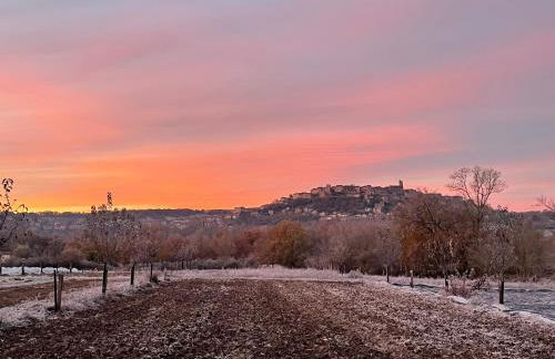 Gîte à la Ferme de Verdurette Cordes-sur-Ciel - Foto 19