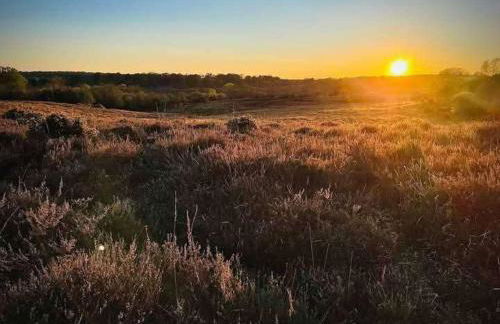 Shorefield Country Park 3-Beds Passes Included! - Foto 5