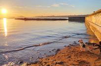 EL EMBARCADERO - Foto 29