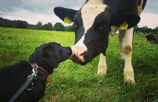 Gutshof Großheringen - Ferienwohnung 4 Personen - Foto 14