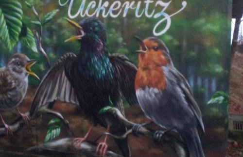 Ferienwohnung ÜckeRitz bei Familie Habben mit PKW Stellplatz - Foto 58