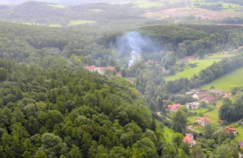 Zamek w Dzięgielowie - Foto 35