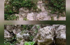 LA GARDE ADHEMAR, L'escalier Médiéval - Photo 75