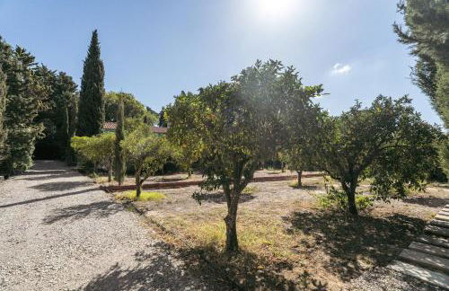 NEW! Quinta de Zanão House - Foto 45