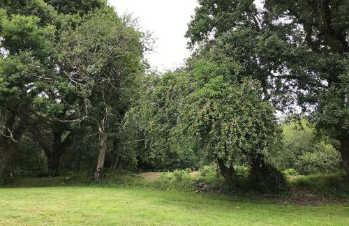 Tent 1 Deerland - Ukc4716 - Foto 22