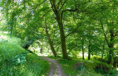 Ta Mill Cottages & Lodges - Pump Cottage - Foto 43