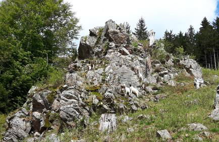 Haus Grabenbühl - Foto 29