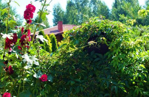 Sumówko Leśne Siedlisko - Foto 12